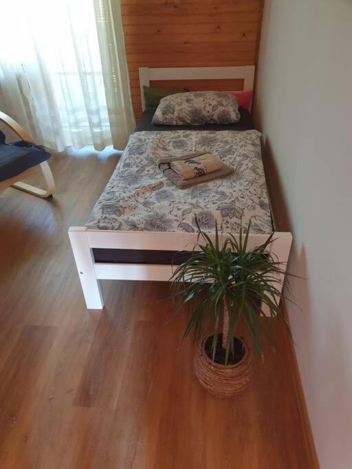 Room Sodja Bohinj Ngoại thất bức ảnh